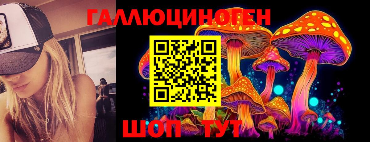 Галлюциногенные грибы GOLDEN TEACHER  Вход с VPN  как найти закладки  Чехов 