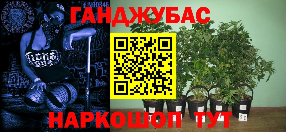 Конопля Amnesia  Вход с VPN  Бошки Шишки планчик  Чехов  МАРИХУАНА SATIVA & INDICA 